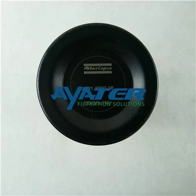 DD 2901300006(1)_