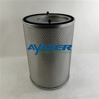 2000049287 Air Filter Cartouche
