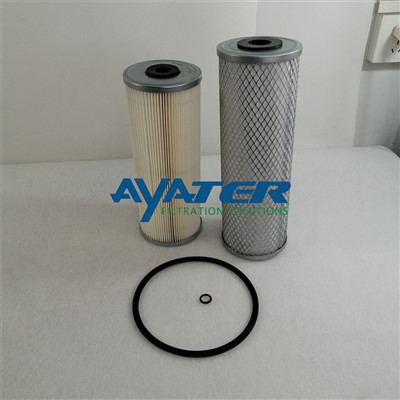 WF10075 Filtè gaz