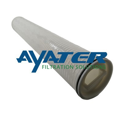 RSCP 100-20 Epp High Flow Filter Cartouche